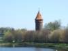 zielonaszkoajastrzbiagra2009001563_small.jpg