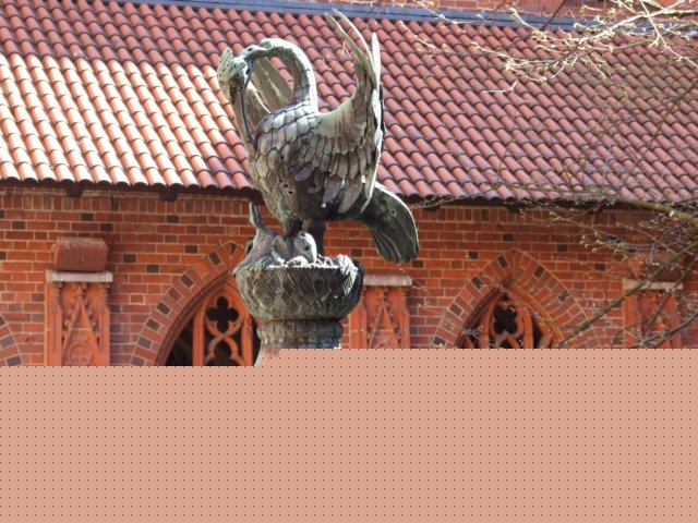 zielonaszkoajastrzbiagra200900180.jpg
