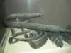 wycieczka1a066_small.jpg