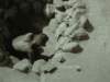 wycieczka1a072_small.jpg