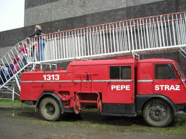 dziedziecka195.jpg