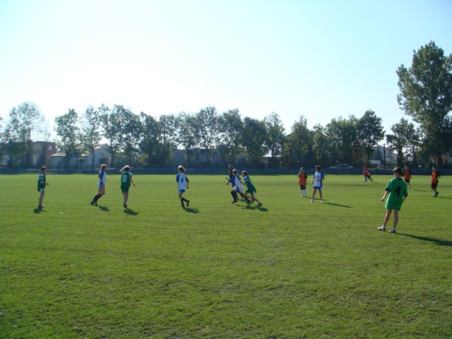 pikanona11.jpg