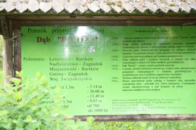obraz262.jpg