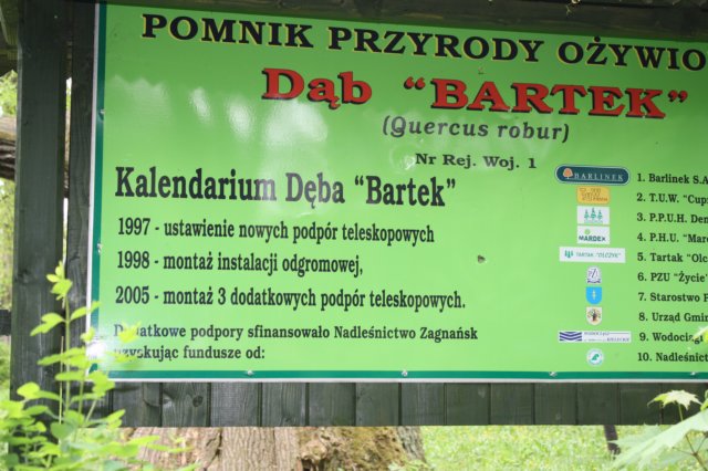 obraz265.jpg