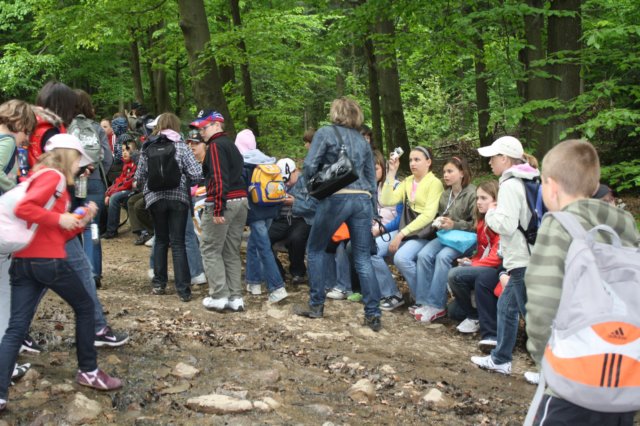 obraz271.jpg