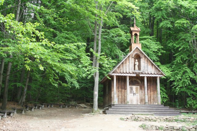 obraz275.jpg
