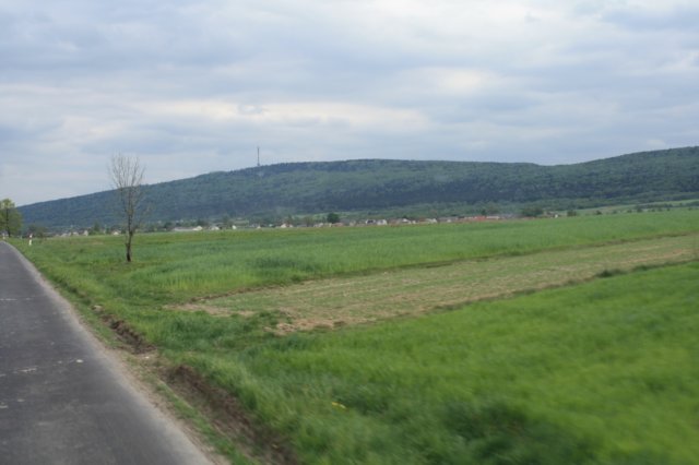 obraz285.jpg