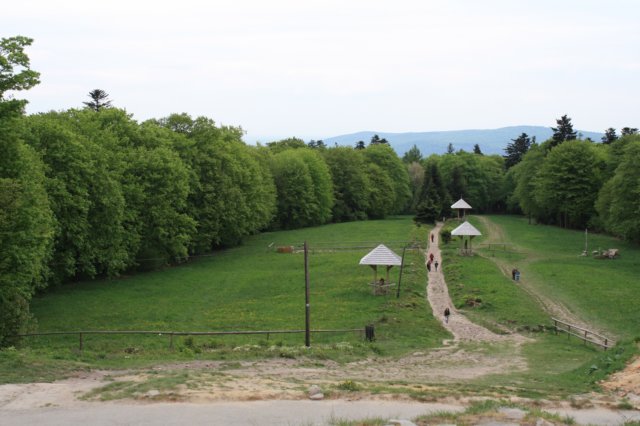 obraz319.jpg