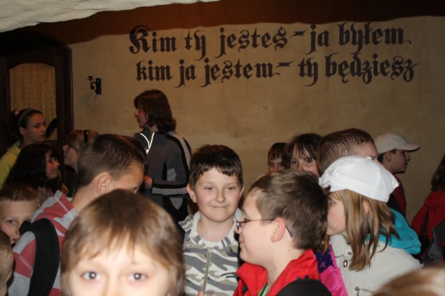 obraz329.jpg