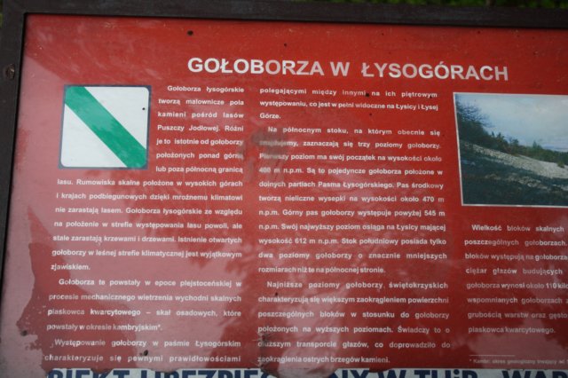 obraz340.jpg