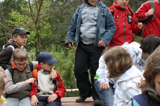 obraz371.jpg