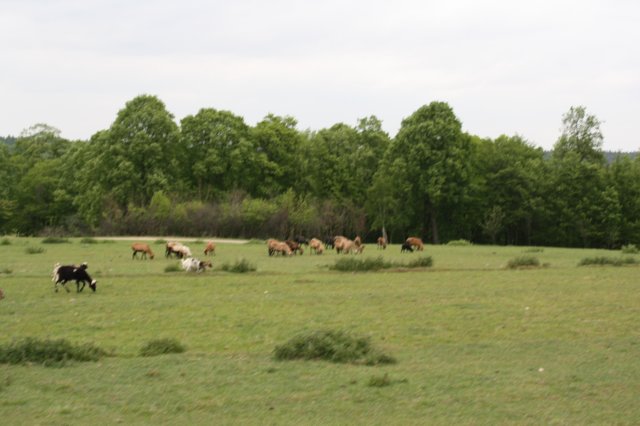 obraz433.jpg