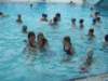 sta60042_small.jpg