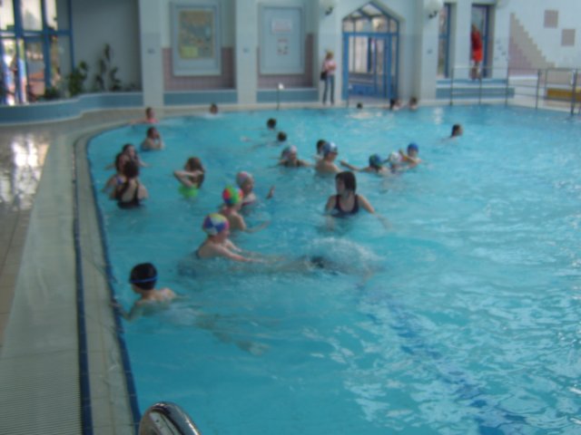 sta60047.jpg