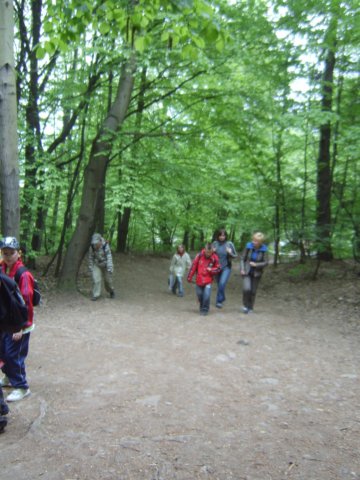 sta60090.jpg