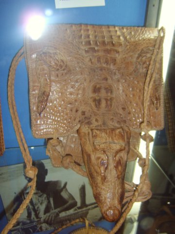 sta60109.jpg