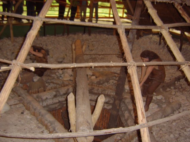 sta60132.jpg