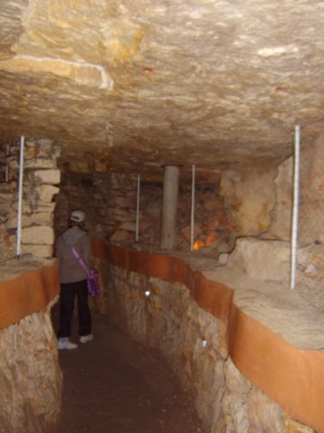 sta60137.jpg