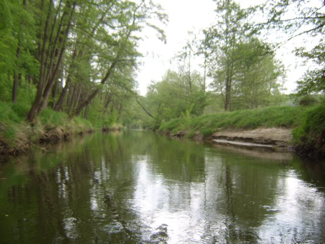 sta60168.jpg