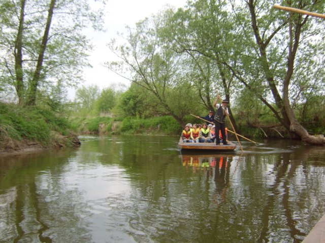 sta60174.jpg