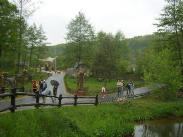 sta60219.jpg