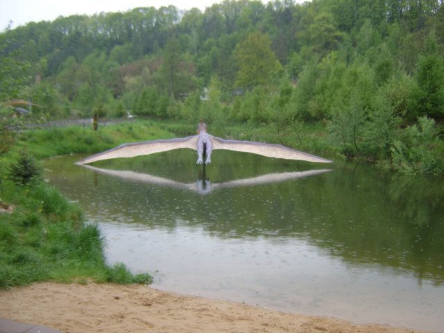 sta60221.jpg