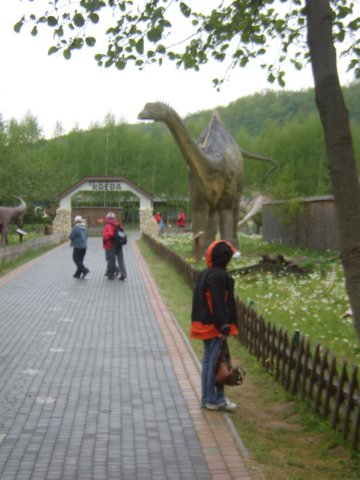sta60225.jpg