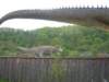 sta60229_small.jpg