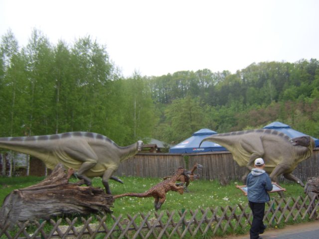 sta60232.jpg