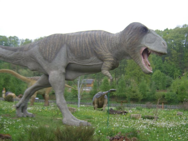 sta60236.jpg