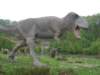 sta60236_small.jpg