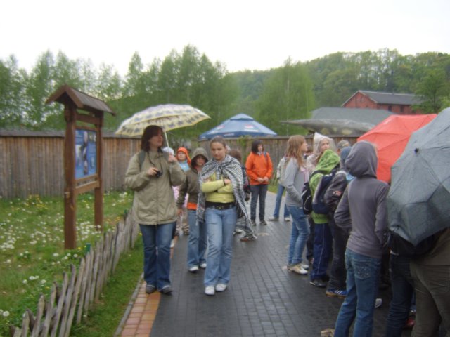 sta60238.jpg