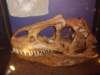 sta60251_small.jpg