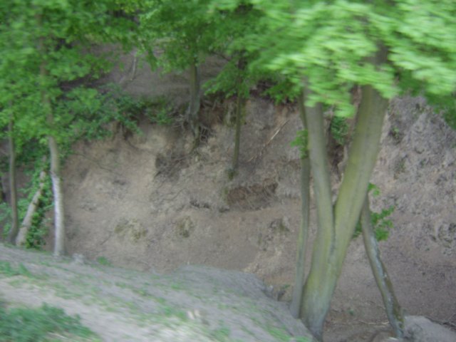 sta60279.jpg