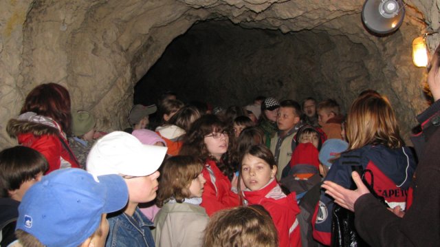 img_1774.jpg