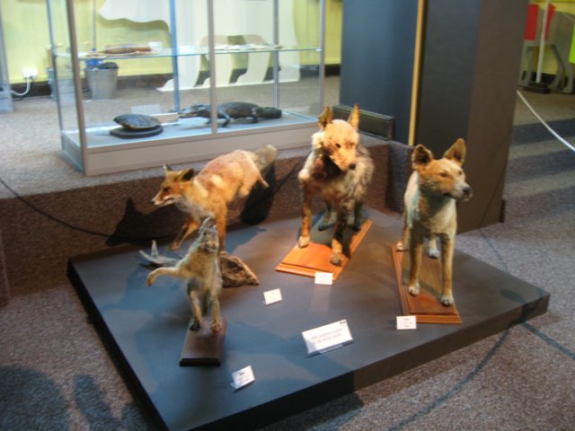 wycieczkadomuzeumewolucjiklasyvcpadziernik20105.jpg