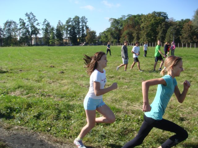 gminnebiegiprzeajowe2010r12.jpg