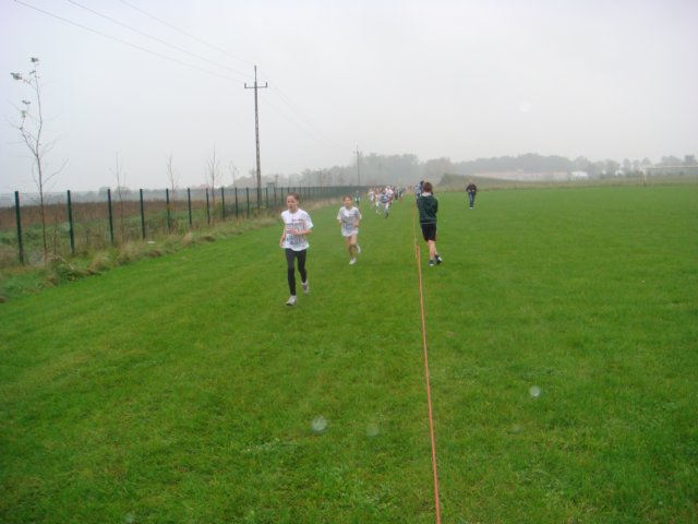 finaybiegwprzeajowych2010r.jpg