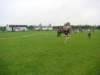 finaybiegwprzeajowych2010r12_small.jpg