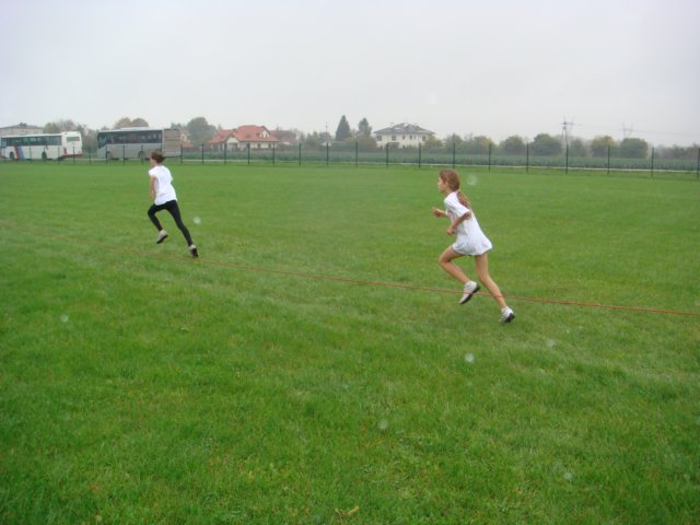 finaybiegwprzeajowych2010r2.jpg
