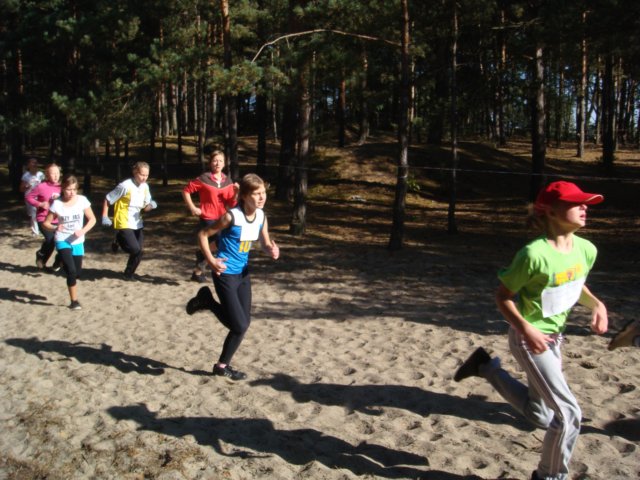 finaymidzypowiatowewbiegachprzeajowych201011.jpg