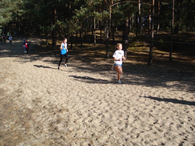 finaymidzypowiatowewbiegachprzeajowych20106.jpg