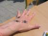 dniboniavi201122_small.jpg