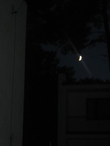 aksiycprzezteleskop20115.jpg
