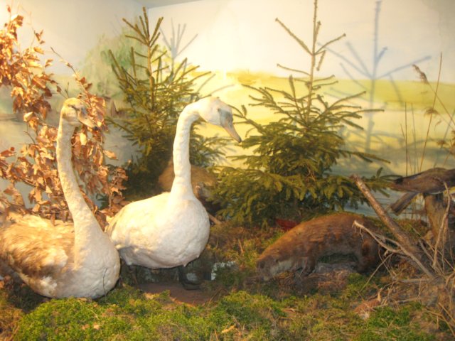 cnazamkuwgniewie20117.jpg