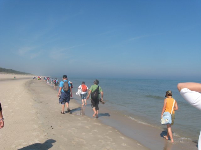 druchomewydmy20112.jpg