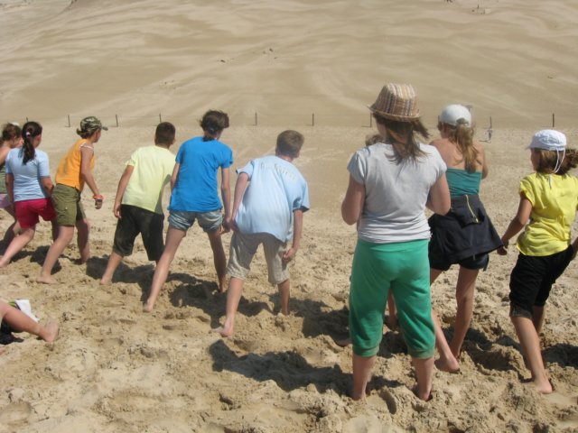 druchomewydmy201122.jpg