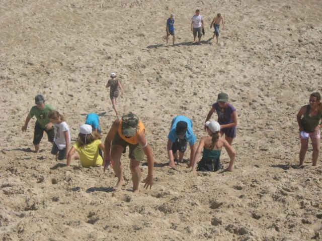 druchomewydmy20118.jpg