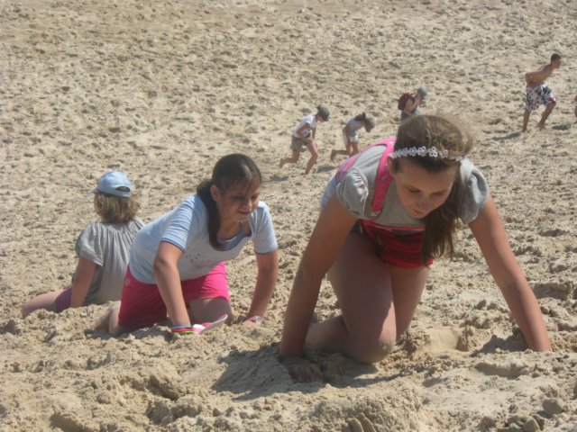druchomewydmy20119.jpg
