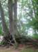 fwskanseniewklukach20116_small.jpg